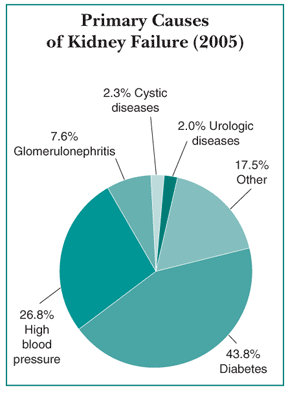 Pie chart showing the primary causes of kidney failure in the United States in 2005. The primary causes are diabetes (43.8 percent), high blood pressure (26.8 percent), glomerulonephritis (7.6 percent), cystic diseases (2.3 percent), urologic diseases (2.0 percent), and other (17.5 percent).