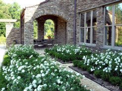 White flower garden along side the Safra Lodge