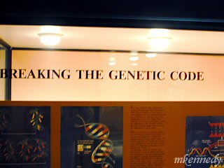 Display showing breaking the genetic code