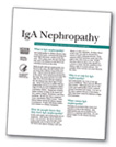 Photograph of the National Kidney and Urologic Diseases Information Clearinghouse fact sheet “IgA Nephropathy.”