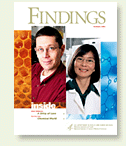 thumbnail-size image of Findings cover