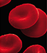 photo of red blood cells