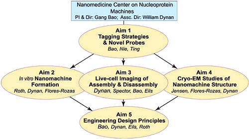 Nanomedicine Center on Nucleoprotein Machines