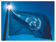 Picture of the United Nations flag.