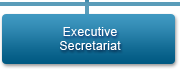 Executive Secretariat