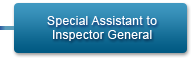 Special Assistant to Inspector General