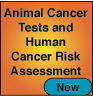 Animal Cancer Tests and Human Cancer Risk Assessment