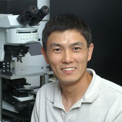 Photo of  Ling-Gang  Wu, Synaptic Transmission Section, NINDS