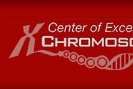Center of Excellence in Chromosome Biology
