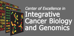 Center of Excellence in Integrative Cancer Biology and Genomics