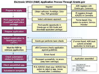 Electronic SF424 (R&R) Application Process Through Grants.gov