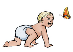 illustration: baby crawling and looking at a butterfly