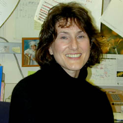 Photo of Susan Wray, Ph.D., Senior Investigator