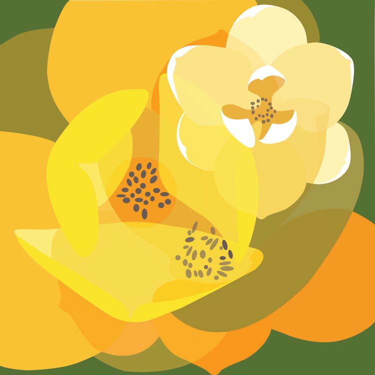 Conference artwork, an abstract overlay of magnolia blooms and leaves in shades of olive, orane, yellow and cream. 