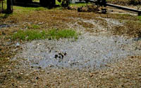 Image of a flood septic system after a flood