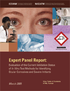 Expert Panel Report Cover