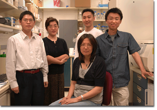 Photo of Dr. Yie Liu and members of the Unit on Telomere Length Regulation and Maintenance