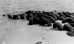 Photo: Tires used to protect marshlands