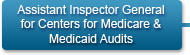 Assistant Inspector General for Centers for Medicare and Medicaid Audits