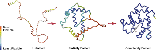 Adapted with permission from Nature Structural Biology 1998, 5:499–503