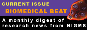 Biomedical Beat - latest issue
