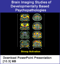 Link - Powerpoint presentation: Brain Imaging Studies of Developmentally Based Psychopathologies