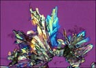 A crystal of the anti-AIDS drug zidovudine (AZT), viewed under polarized light..