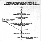 Diagram on developing a treatment for HIV/AIDS