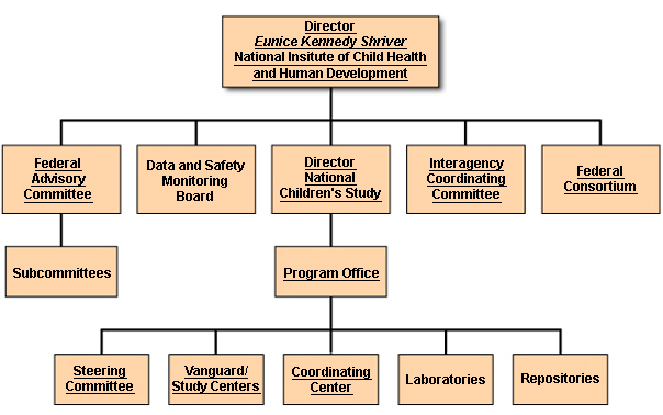 NCS Organizational Chart May 2006