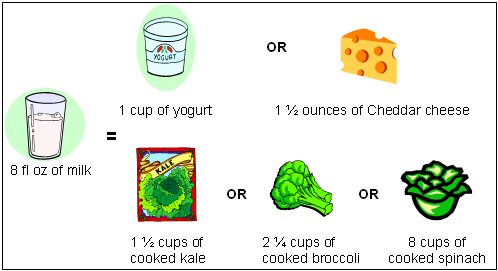 Figure 1: Calcium Content of 8 fl oz of Milk Compared to Other Food Sources of Calcium