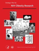 The Strategic Plan for NIH Obesity Research report cover