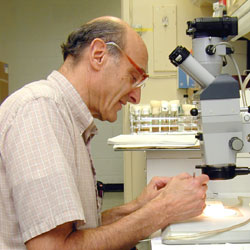 Photo of Howard A. Nash, M.D., Ph.D., Senior Investigator