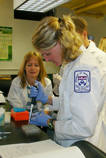 An SGI Student working in the Lab