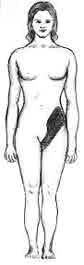 Image of front side of a person with side of waist shaded.