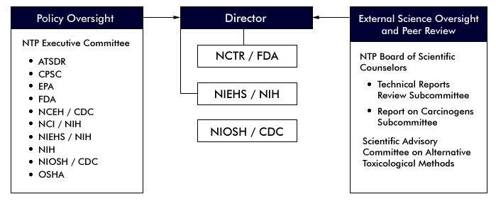 NTP Structure