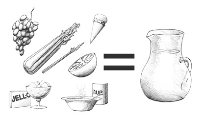 Drawing of several foods that contain water, including grapes, celery, ice cream, an orange, gelatin, and soup. The foods appear on the left side of the drawing. On the right side is a pitcher of water. An equal sign in the middle indicates that eating the pictured foods is the same as drinking water.