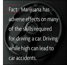 Fact: Marijuana has adverse effects on many of the skills for driving a car. Driving while high leads to car accidents.