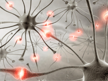 Three-dimensional rendering of neurons connecting to one another.