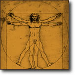 Leonardo da Vinci's Vitruvian Man illustration