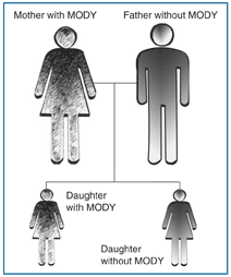 A drawing of a family tree shows a mother, father, and two daughters.  The mother and one daughter are shaded gray.  The father and the other daughter are a solid color.  Labels indicate that the mother and one daughter have MODY, while the father and the other daughter do not have MODY.