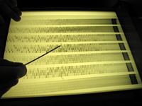 On an autoradiograph (image on a film), Angela points to yeast samples that are plus and minus for transposition. 