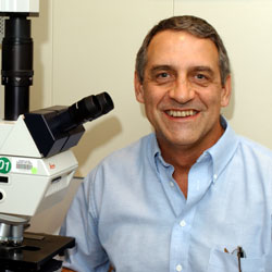 Photo of Miles Herkenham, Ph.D., Senior Investigator