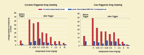 Graphic of cocaine and cue triggered drug seeking