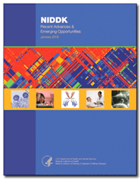 Full Cover of the Recent Advances and Emerging Opportunities (2008)