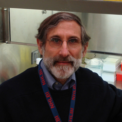 Photo of Herbert M. Geller,, Ph.D., Investigator