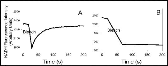 NADH ED-FRAP is dependent on the presence of enzyme in vitro