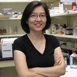 Photo of Sohyun Ahn, Ph.D., Investigator