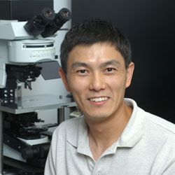 Photo of Ling-Gang Wu, M.D., Ph.D., Senior Investigator