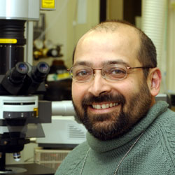 Photo of Ajay Chitnis, M.B.B.S., Ph.D., Investigator