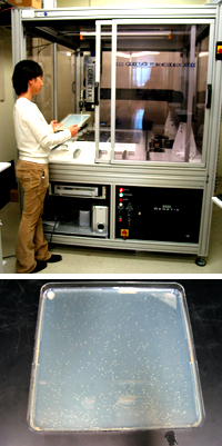 Peggy uses the QBot robot (top) to pick a large number of colonies growing on agar plates (bottom).